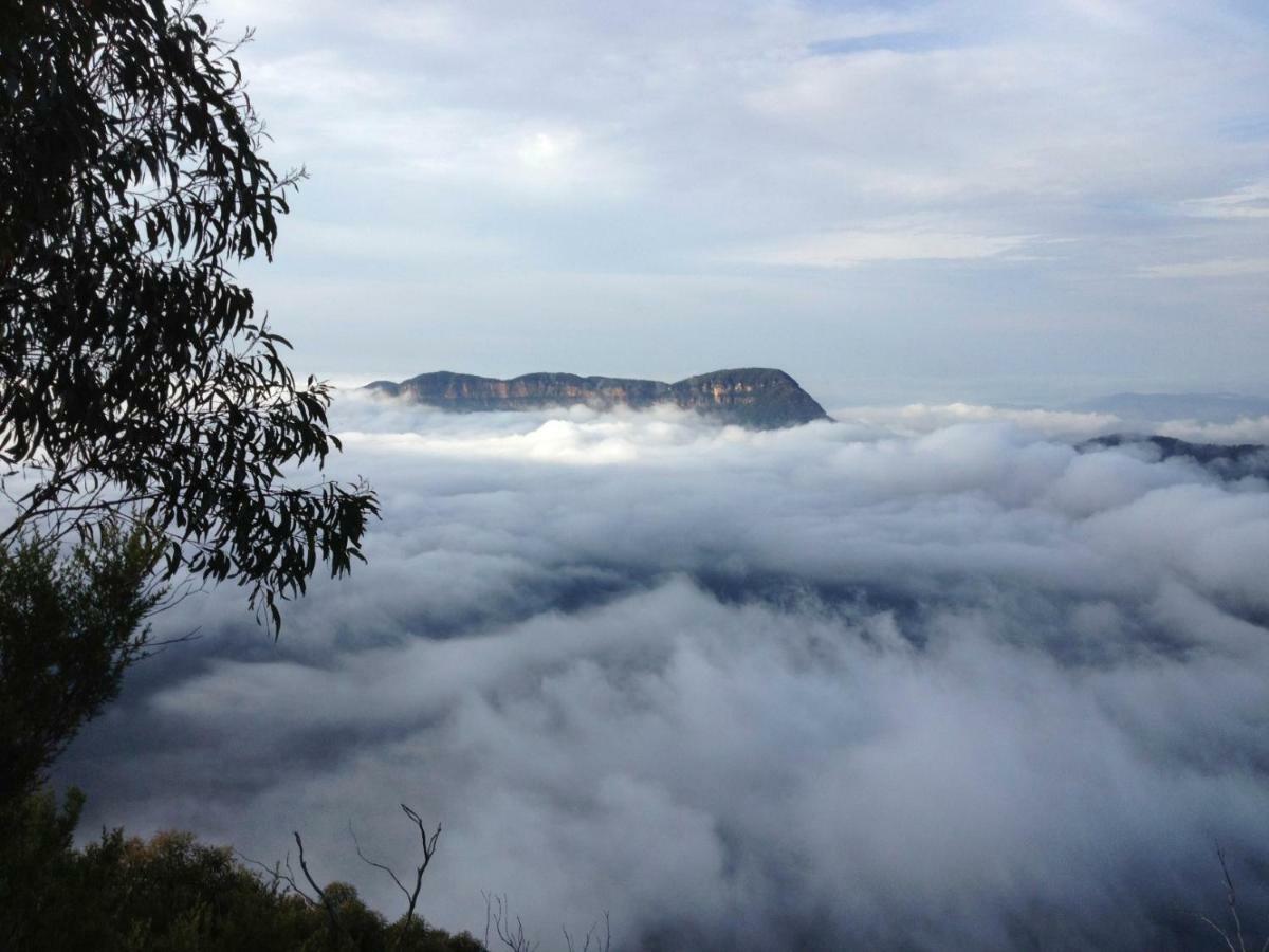 Ribbon Gum Lodge Katoomba Exteriör bild